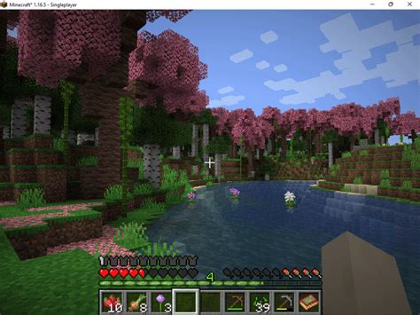 Image result for What Is the Minecraft Mod Image