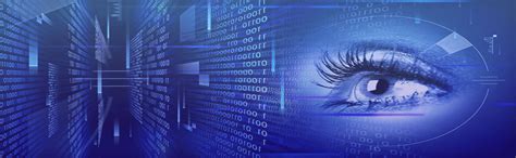 Team Velocity Consulting