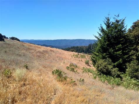 Russian Ridge Open Space Preserve