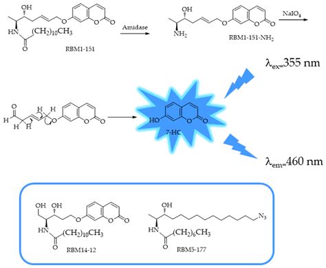 Fluorescence-Based Enzyme Activity Assay: Ascertaining the Activity and ...