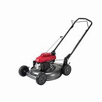 Image result for Home Depot Lawn Mower Online Shopping