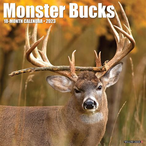 Buy Monster Bucks 2023 Wall Calendar Book Online at Low Prices in India ...