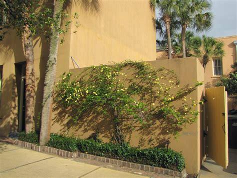 Lodge Alley Inn, Charleston