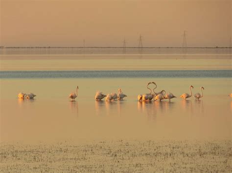 HOTEL DAR MAMINA (Zarzis) - Hotel Reviews, Photos, Rate Comparison ...