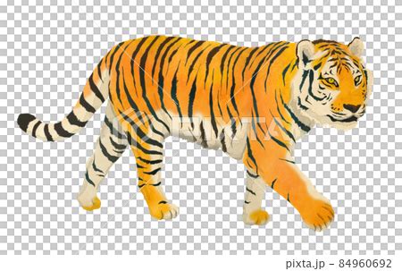 Image result for Custom CSS File