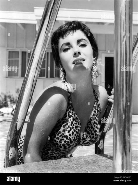 Liz in a hot leopard swim suit - Publicity photo of Elizabeth Taylor in ...