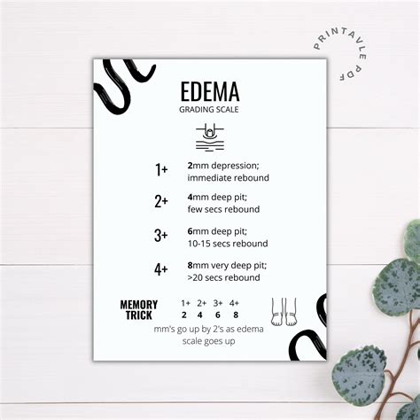 Edema Grading Scale Printable Nursing Printable Nursing - Etsy Israel