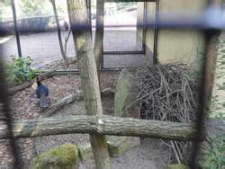 ZooLex Exhibit - Bird Breeding Aviaries
