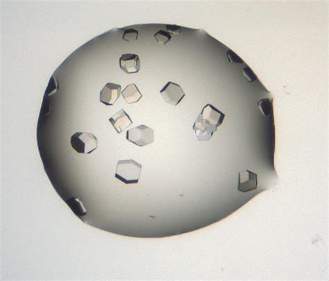 Image result for Lab On-Chip Protein Crystallisation