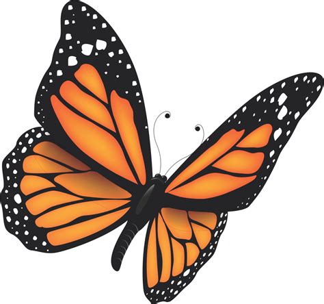 Monarch Butterfly Clip Art