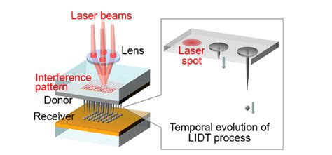 Laser-Induced Transfer of Noble Metal Nanodots with Femtosecond Laser ...