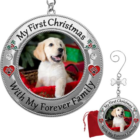 Amazon.com: Puppy's First, Dogs First Christmas Ornament 2024 Picture ...