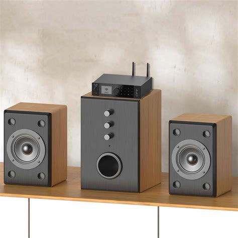 ARYLIC A100 Multi-Room Streamer & Hi-Fi Amplifier | Concept Kart