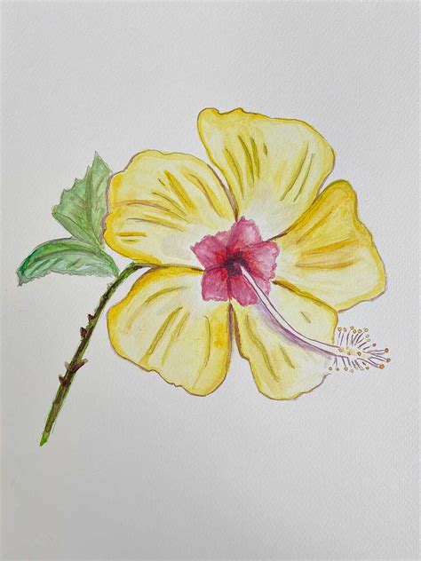 Hibiscus Easy Drawing