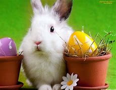 Image result for Religious Easter Bunny