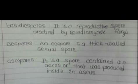 basidiospores ,oospores ,ascospores - Brainly.in