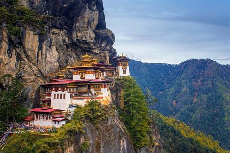 Image result for Bhutan Python Coders