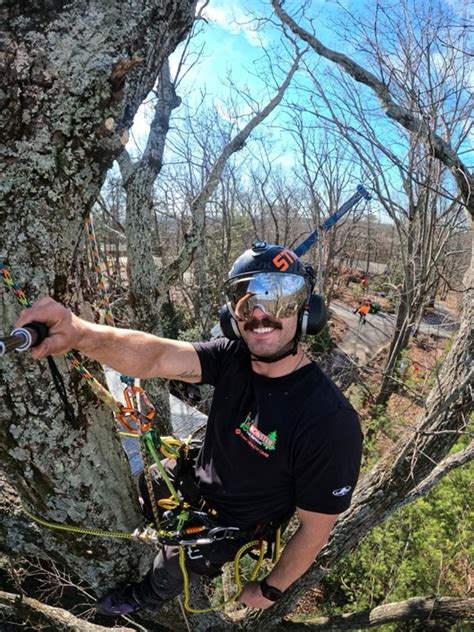 Image result for Monster Tree Pruning