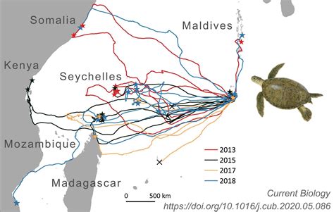 Endangered Green Sea Turtles Map