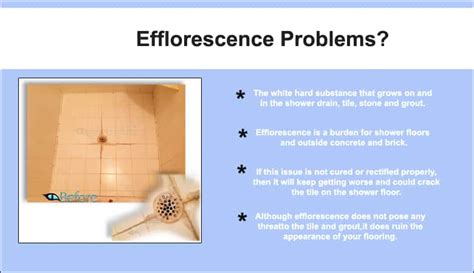 Image result for Efflorescence Repair
