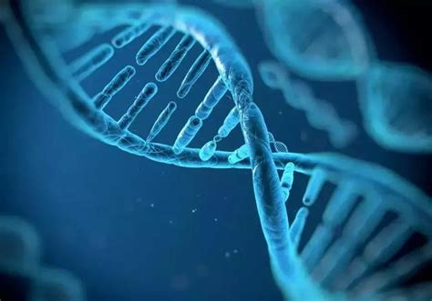 环境dna 的图像结果