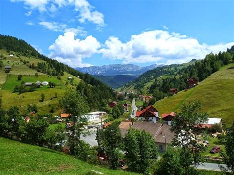 VILA SAMAHA (Moieciu de Sus, Brasov County) - Guesthouse Reviews ...