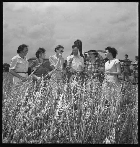 Power to the People: A History of TVA as an Economic Development Pioneer - Business Trend
