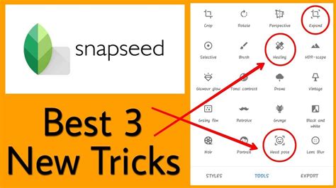Image result for Snapseed Editing Tricks