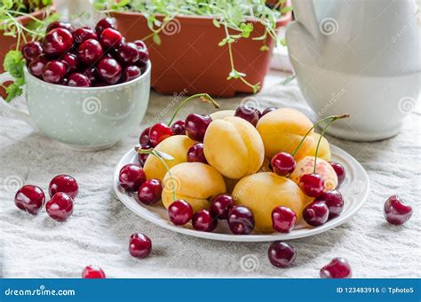 Summer Fruits- Apricots with Cherry are on the Plate Stock Photo - Image of life, ripe: 123483916