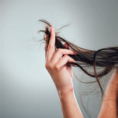 Split Ends In Hair: Causes & How To Stop Them | AFAM
