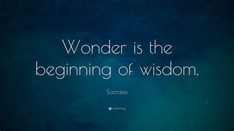 Wonder Quotes