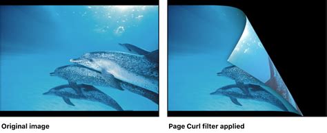 Page Curl filter in Motion - Apple Support (IN)