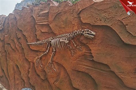 恐龙化石是怎么形成的？ - 知乎