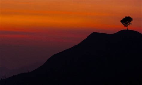 Investor Centre | Abbott India Limited