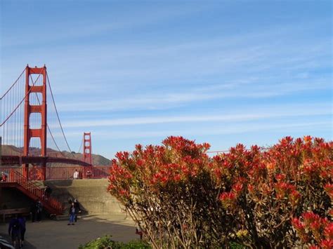 Red structure by trees against sky | Premium Photo