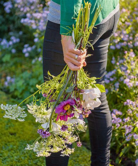 Best cutting garden flowers to grow: 10 of our favorites | Homes and ...
