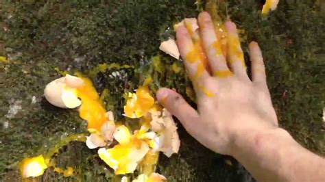 Image result for HowToBasic Behind the Scenaes