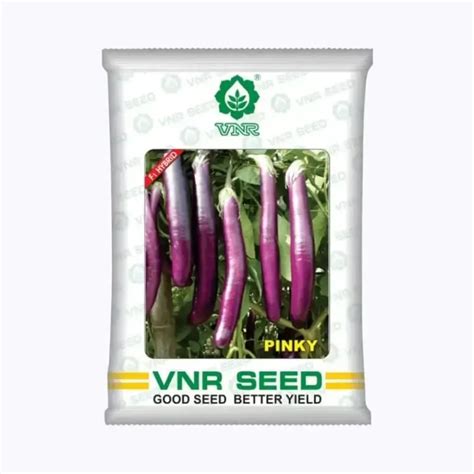 VNR Pinky Brinjal Seeds - KisanShop
