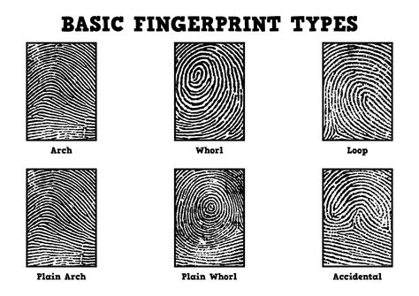 Fingerprint Order Meaning at Robin Alexander blog