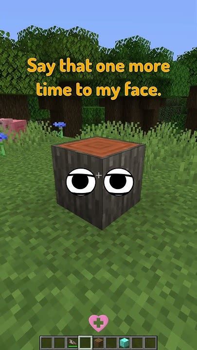Image result for All Minecraft Block Types