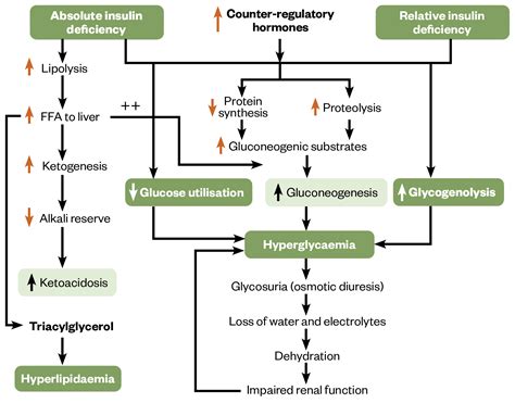 When Does Ketoacidosis Happen
