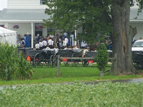 Amish Bride 的图像结果