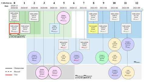 3rd Generation Cephalosporin