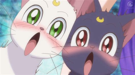 Things You Didn't Know About Luna And Artemis