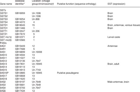 Image result for Gene Annotation Assignment