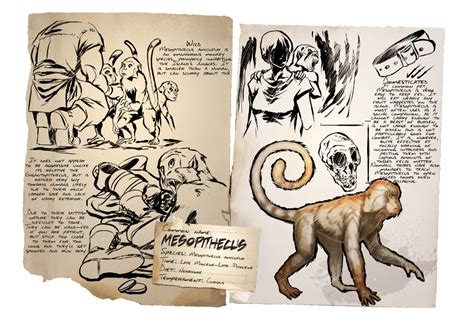 Image result for Mesopithecus vs