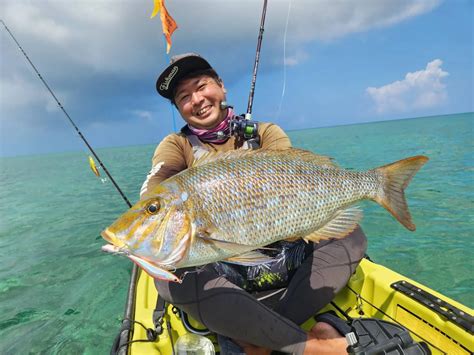 フィッシュマン BC4 510LH 18ジリオンtwhd セット