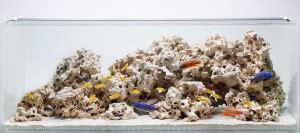 Petzlifeworld Texas Holey Rock for Cichlid and Malawi Tank Aquascape 3 ...