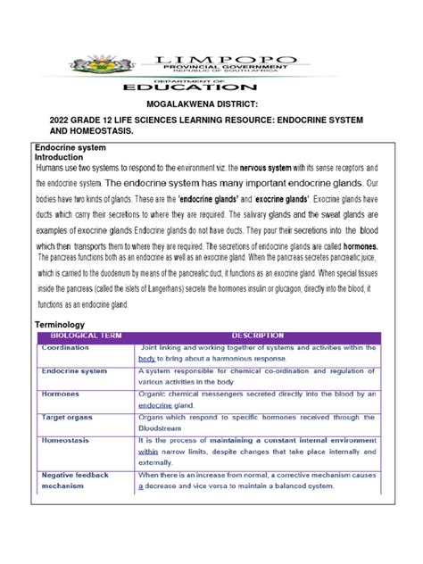 Image result for Endocrine System Grade 12 Lesson