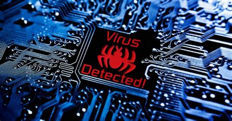 Топ-10 интересных фактов про компьютерные вирусы — Teletype